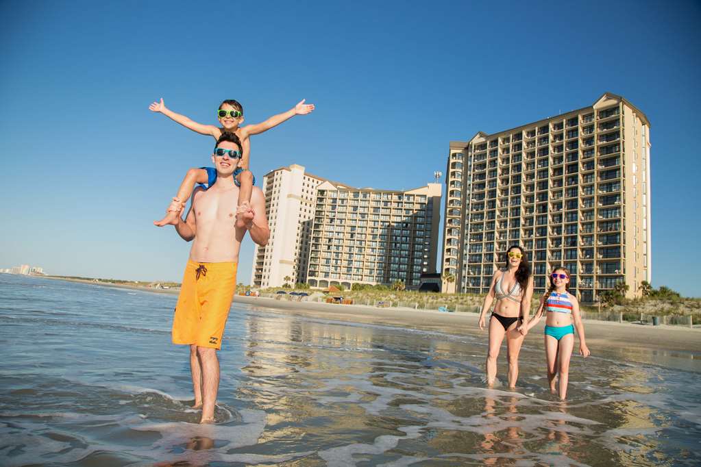 Beach Cove Resort - photo 10