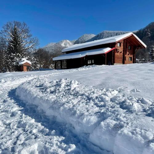 Cabana Ursu Zburator in Rasnov, Romania