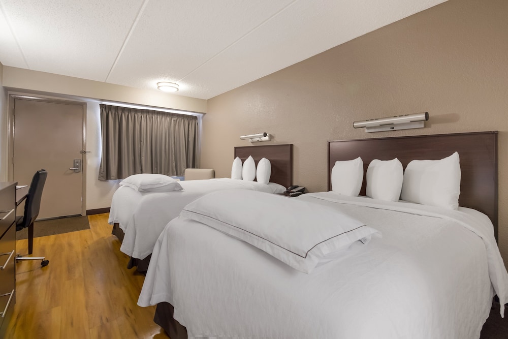 Red Roof Inn PLUS Nashville Airport - photo 25