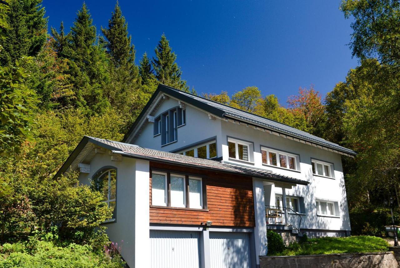 Schwarzwaldhimmel in Feldberg, Germany