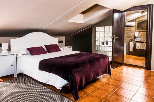 La Posada De La Magistral — hotel in Alcala De Henares