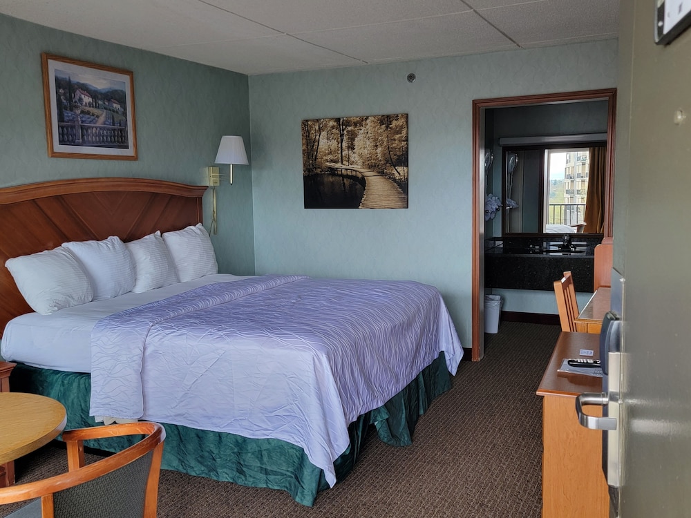 Downtown Inn and Suites - photo 4