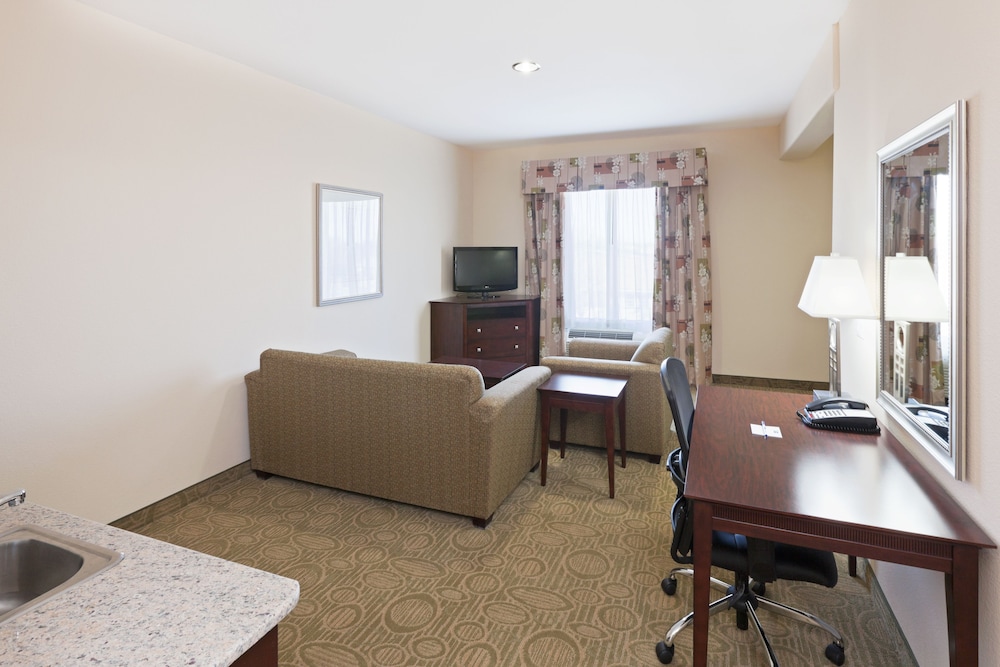 Holiday Inn Express Hotel & Suites Brownfield by IHG - photo 11