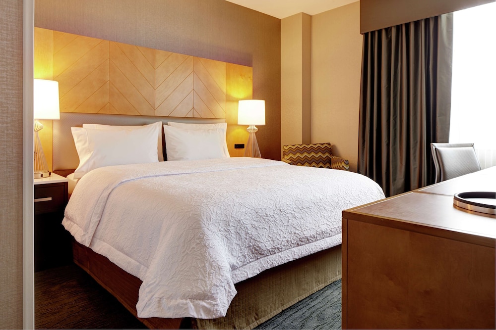 Hampton Inn Brooklyn Downtown - photo 7