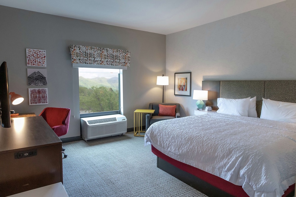 Hampton Inn Black Mountain - photo 7