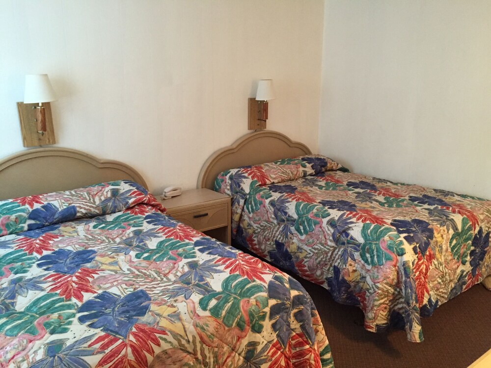 Carolina TarHeel Motel - photo 6