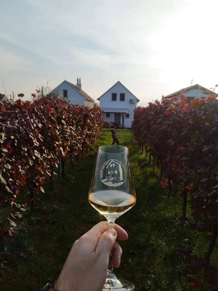 Vinoza ubytování a vinný sklep Velké Bílovice Pod Vinicí in Velke Bilovice, Czech Republic