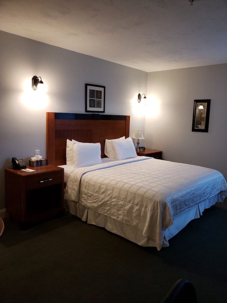 Crescent Suites Hotel - photo 13