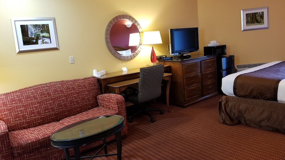 The Dew Drop Inn Motel - photo 20