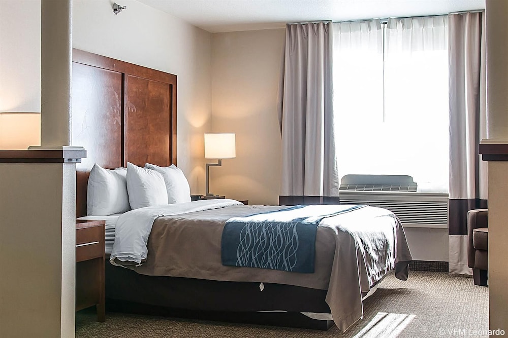 Bluffton Inn & Suites By IHG - photo 7