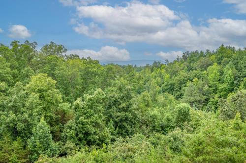 Bear Pause Lookout — Sevierville — photo 3