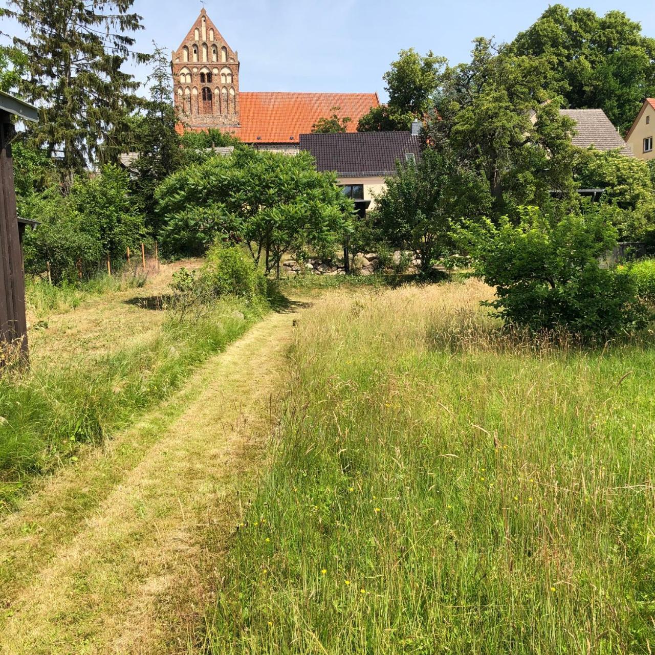 Ferien direkt am Wasser — Lychen — photo 4