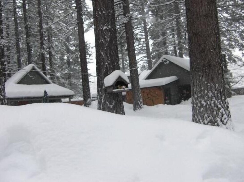Holly's Place - photo 49