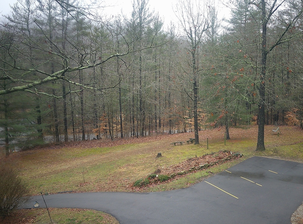 Lil Black Bear Inn - photo 148