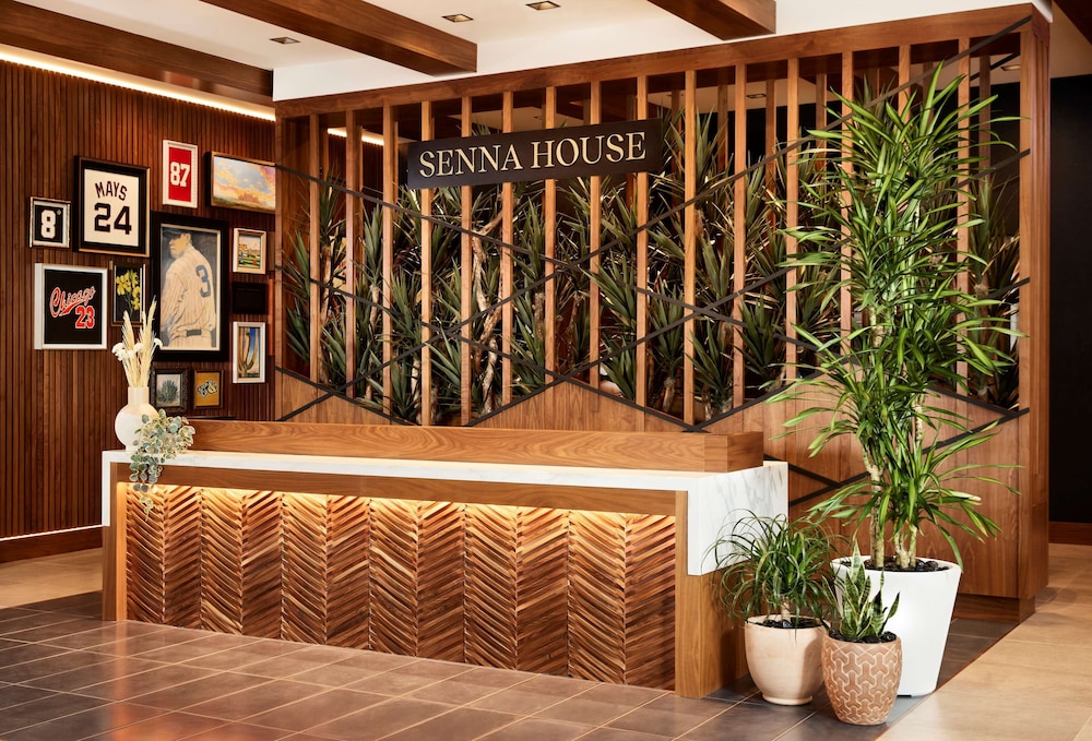 Senna House Hotel Scottsdale Curio Collection by Hilton - photo 9