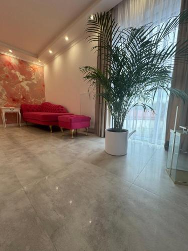 Apartments Merlin Antresola Przy Starówce — Zamosc — photo 3