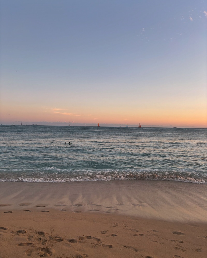 Sip And Sea - photo 20