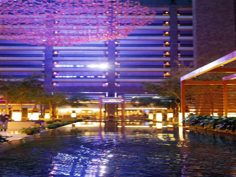 Hilton Anatole - photo 97