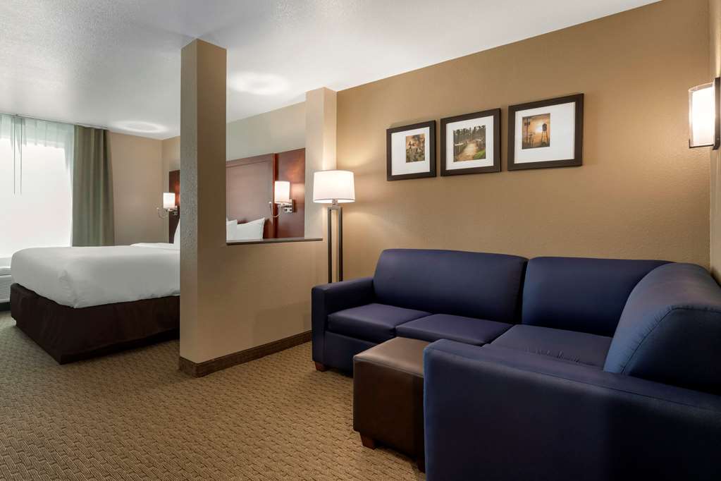 Comfort Inn & Suites Euless DFW West - photo 10