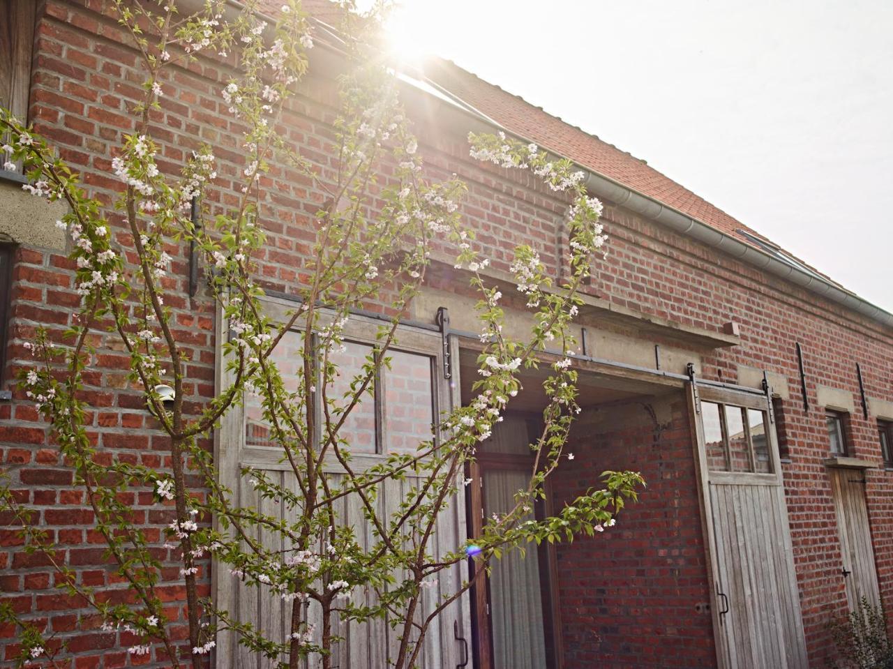 De Neering Hoeve Vakantiewoning — Wielsbeke