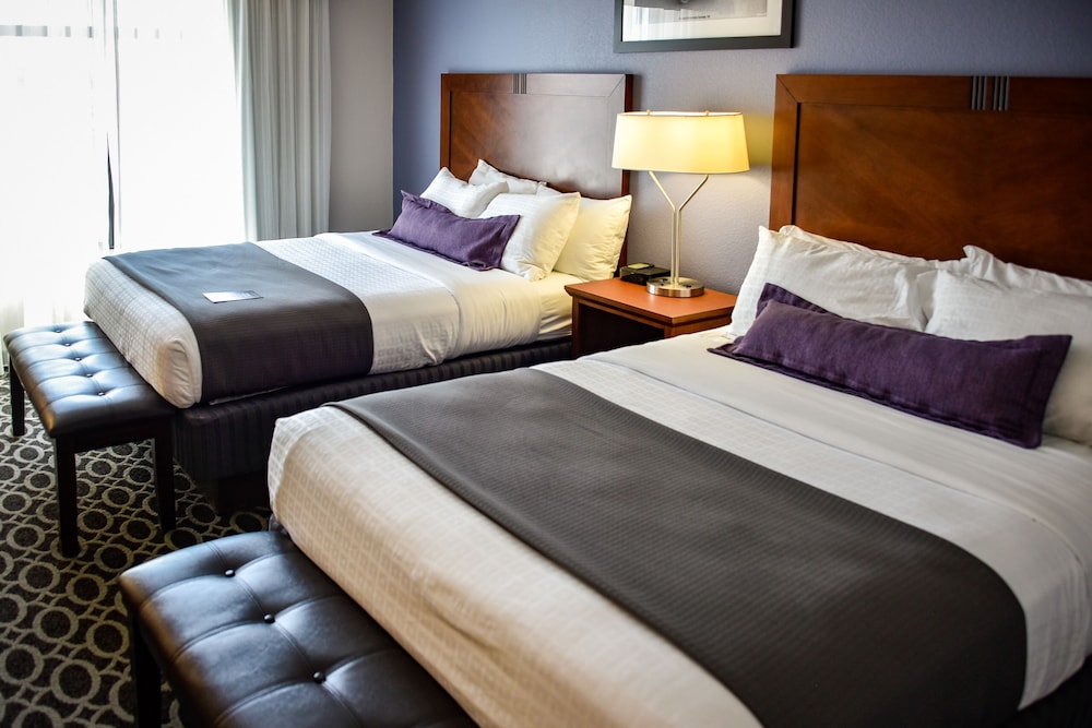 The Bluemont Hotel - photo 25