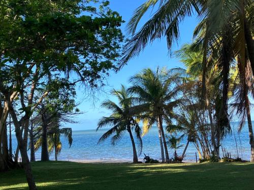 Ebony Beach - carbon neutral hotel in Unknown City