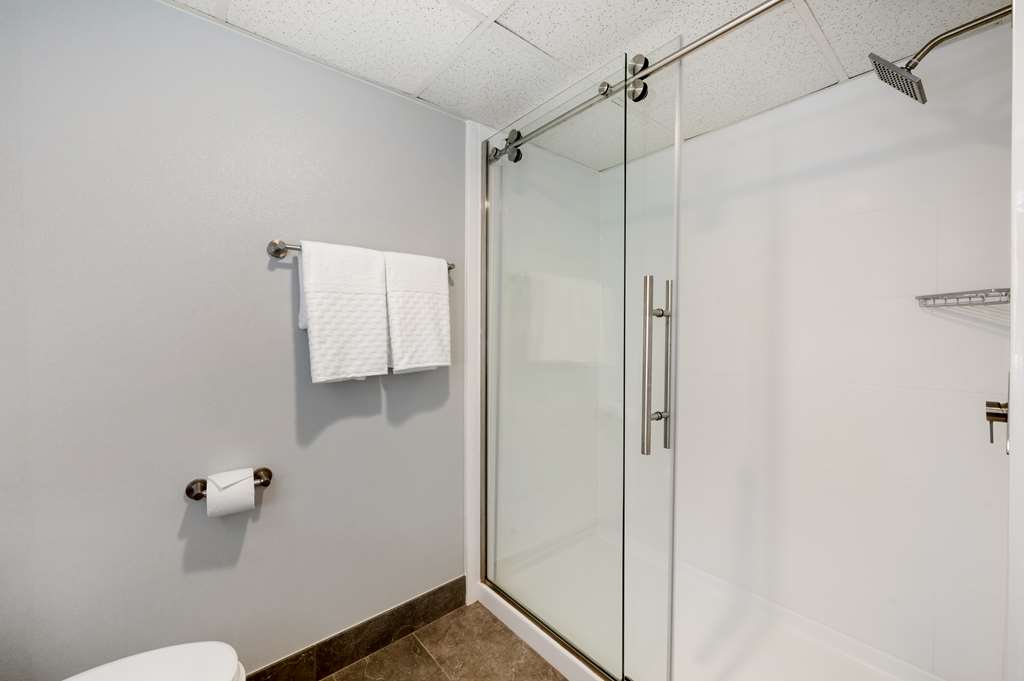 Best Western Plus Alexandria Fort Belvoir - photo 37