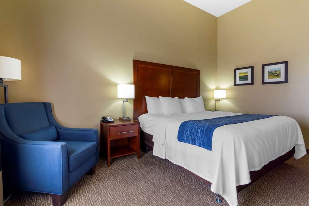 Comfort Inn & Suites Mandan Bismarck - photo 6