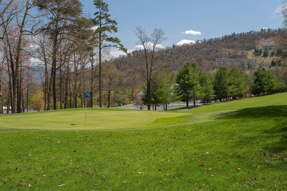 Mountainside Villas at Massanutten by Tripforth - photo 22