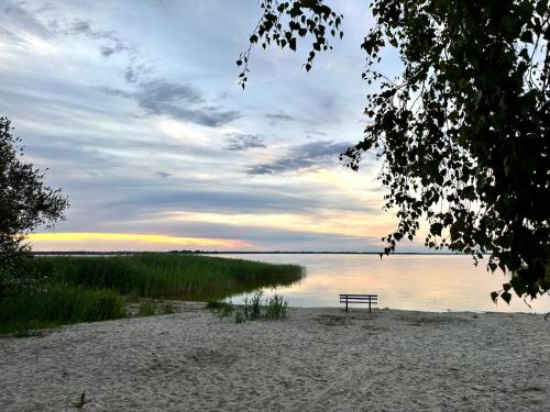 Ferienhäuser Baltic Lagoon Haus 14 — 4-Star Luxury Hotel in Zingst, Germany