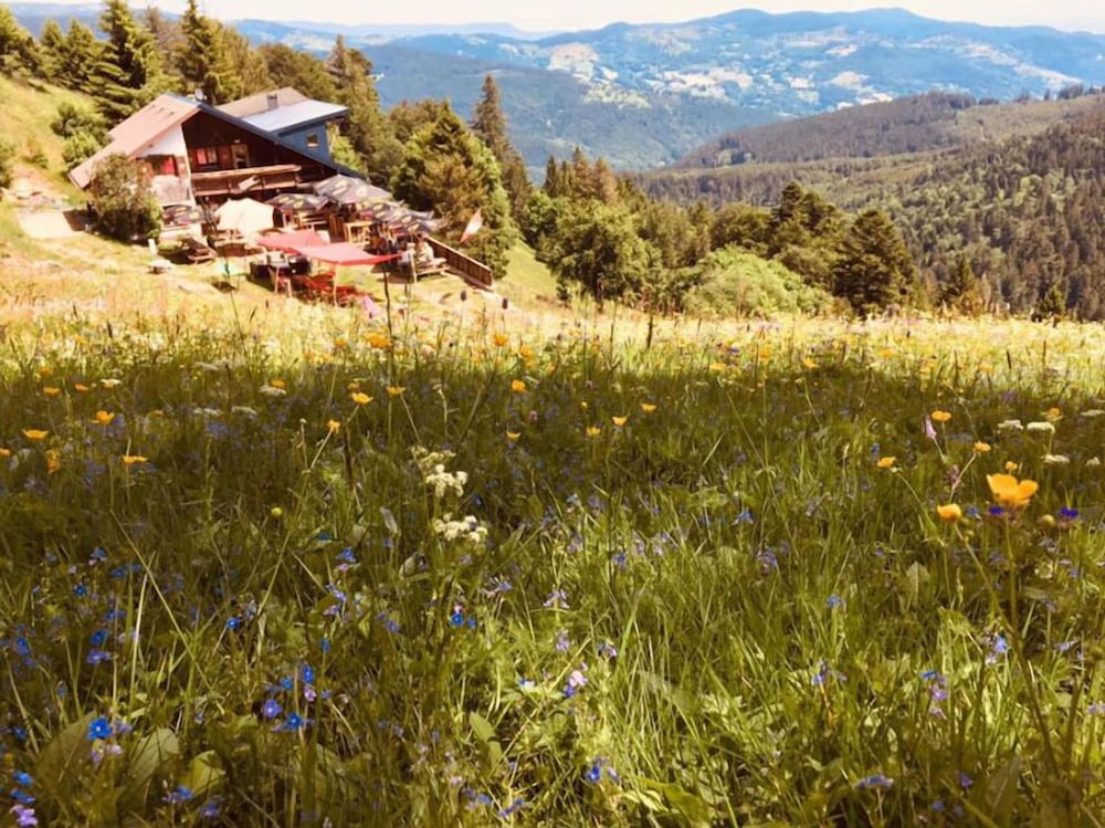 Le Schallern in Colmar, France