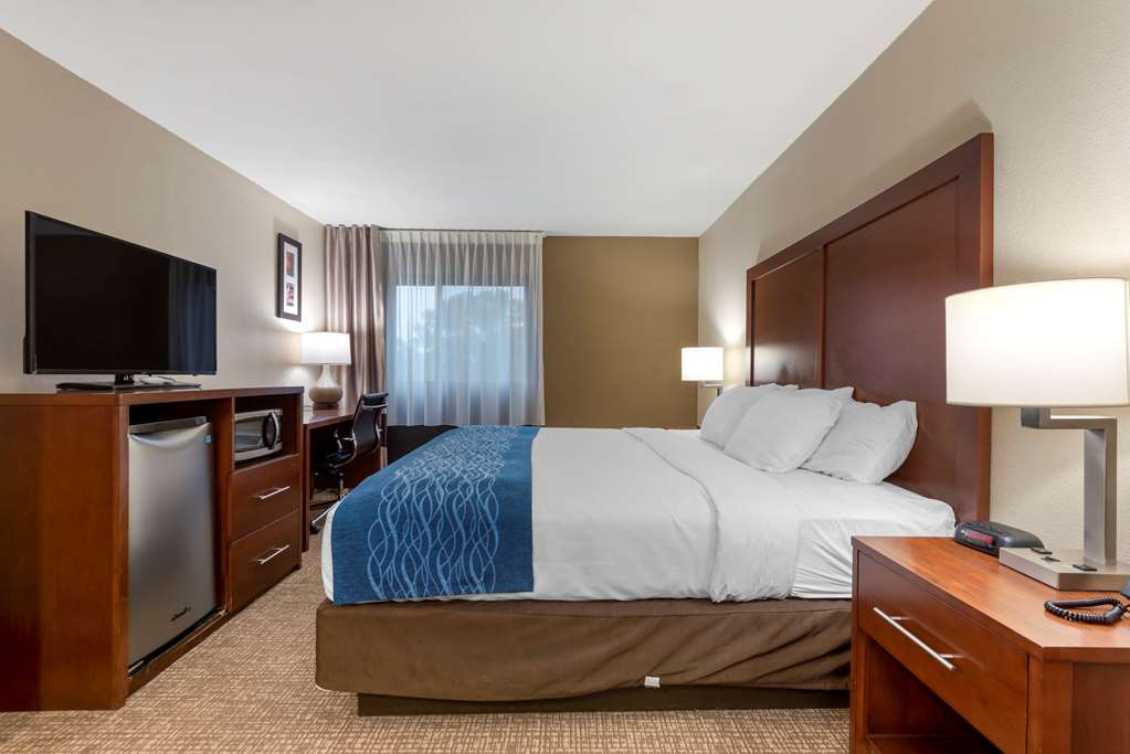 Comfort Inn Binghamton I 81 - photo 14