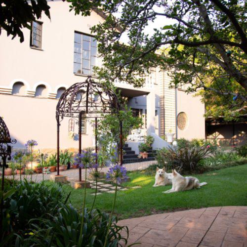 Ben's Bed and Breakfast — 4-Star Luxury Hotel in Pretoria, South Africa