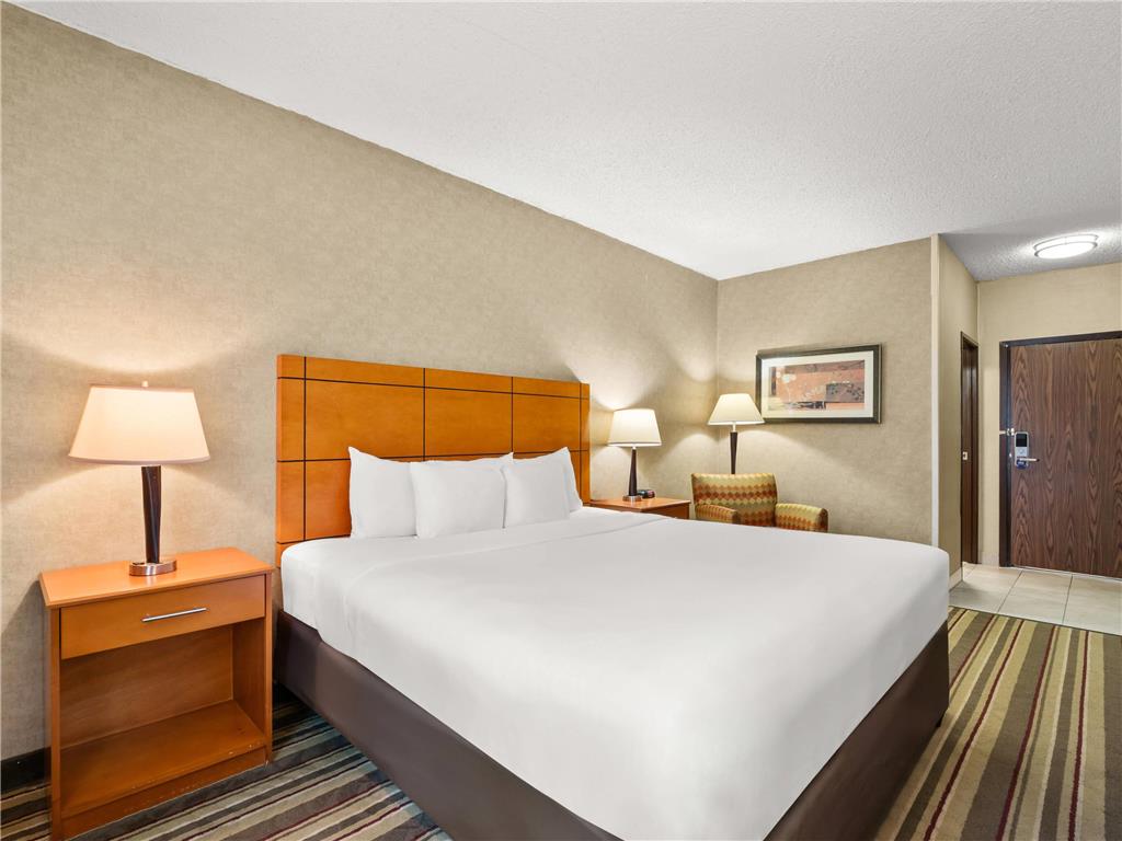Comfort Inn Metro Airport - photo 24