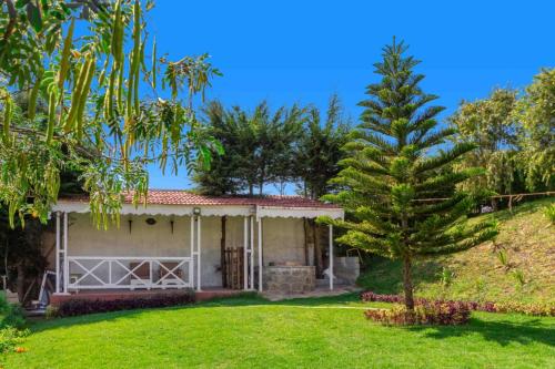Pine View Stay Ooty — Ooty — photo 5