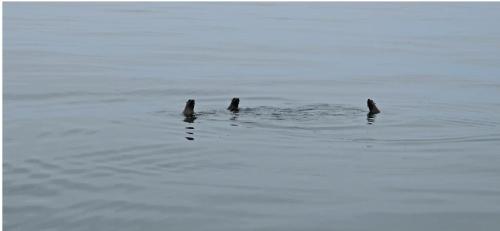 D’Marlene Self Catering — Walvis Bay — photo 4