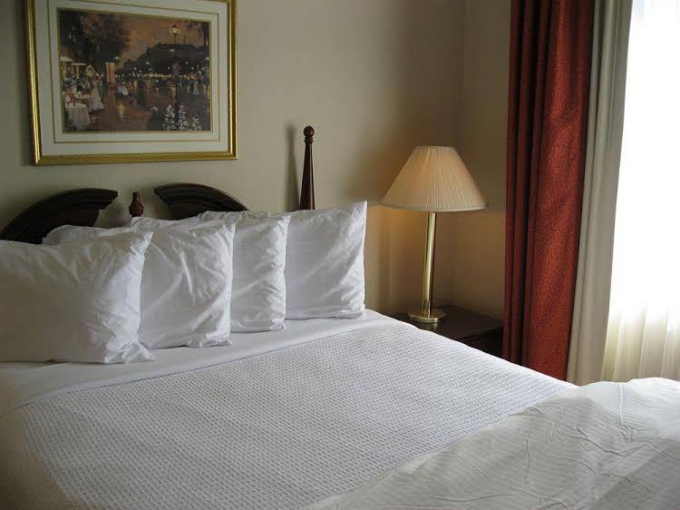 Chisholm Suite Hotel - photo 3