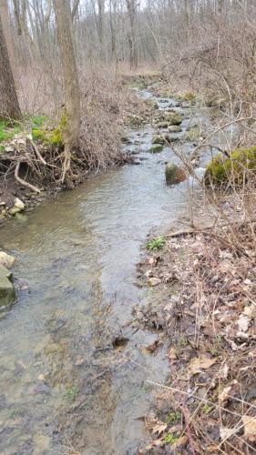 Firefly Creek Lodge - photo 14