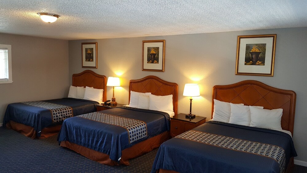 Lake Ridge Hotel - photo 12
