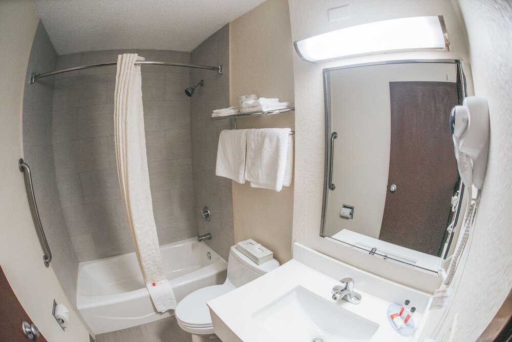Super 8 Danbury Ct - photo 29