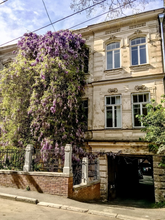 Anna Stevar brand apartment — 4-Star Luxury Hotel in Tbilisi, Georgia