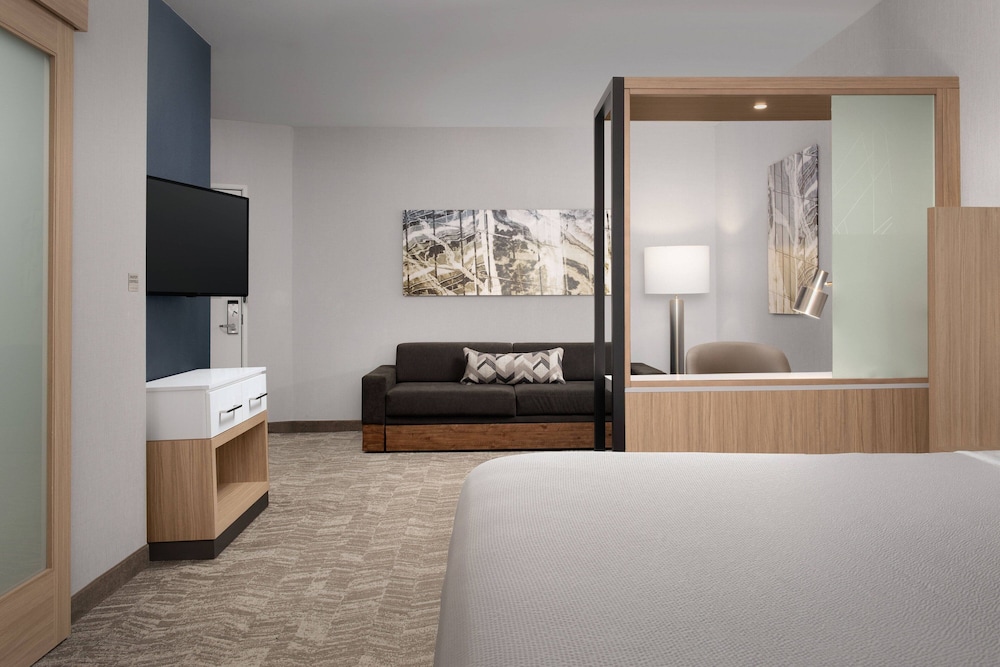 SpringHill Suites by Marriott Charleston Airport & Convention Center - photo 14