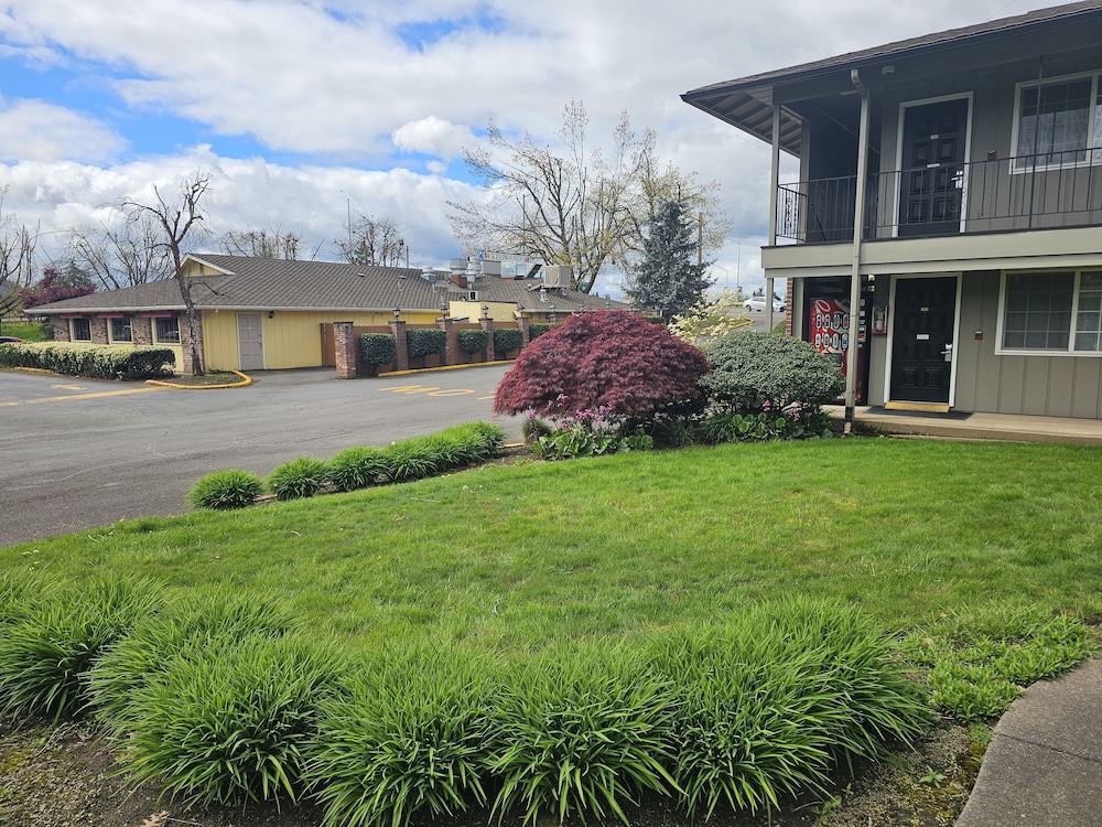 Village Inn Springfield - photo 29