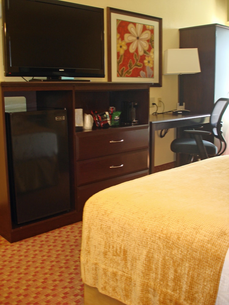 Spark by Hilton Orlando near SeaWorld - photo 26