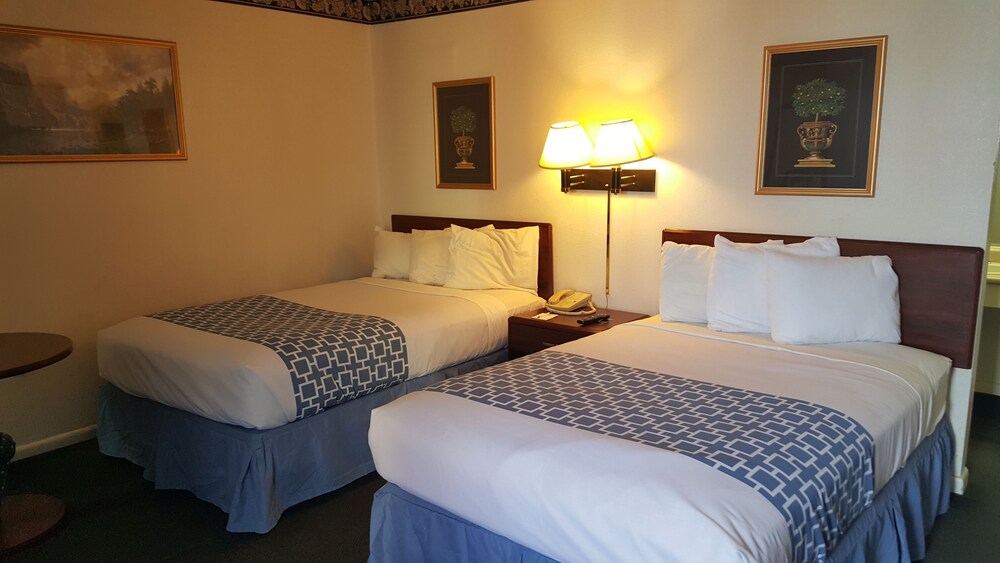 Alamo Inn & Suites - photo 4