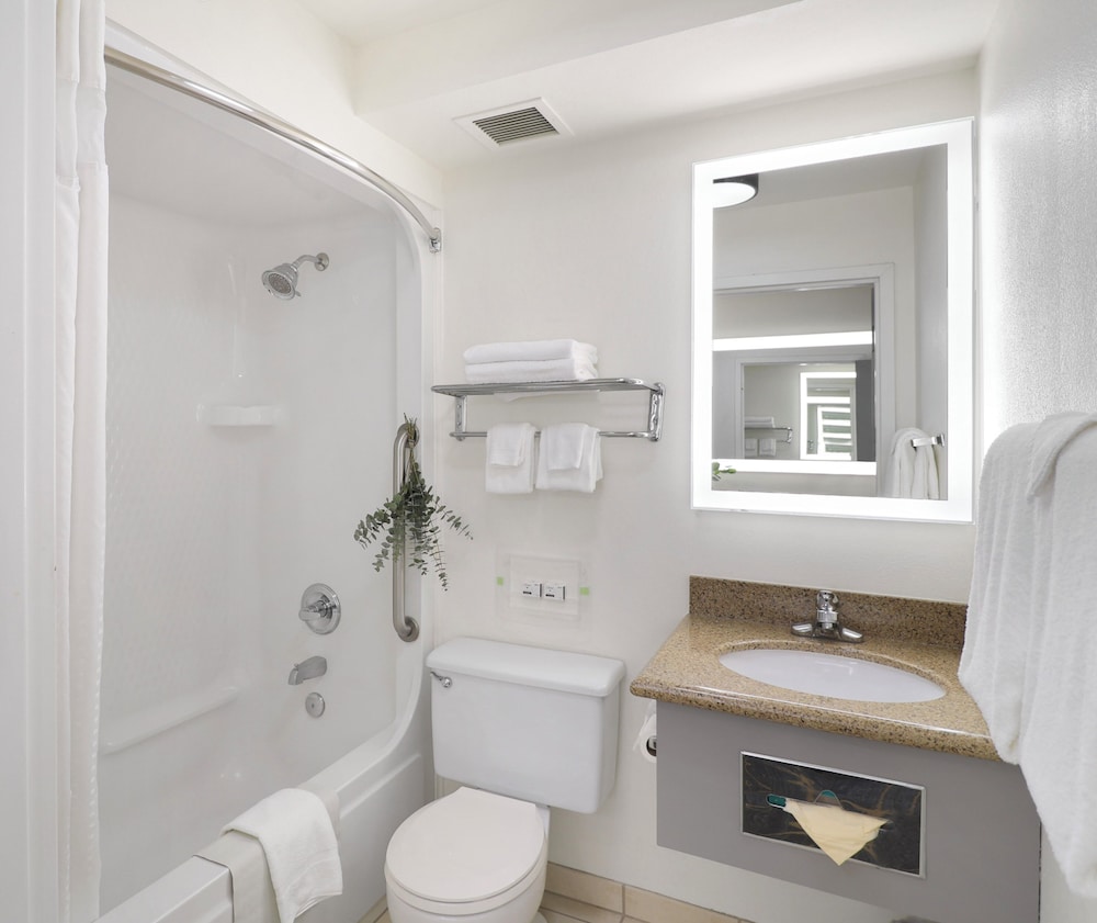 Holiday Inn Redding by IHG - photo 51
