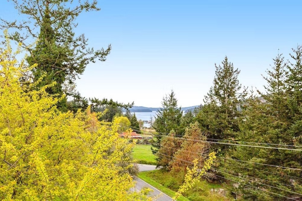 Deer Harbor Cottages - photo 41