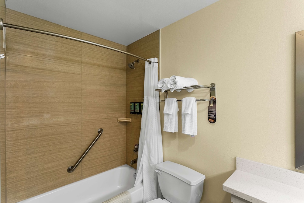 Best Western Rose Quartz Inn - photo 17