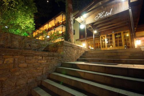 Milionis Forest Hotel — Grevena — photo 4