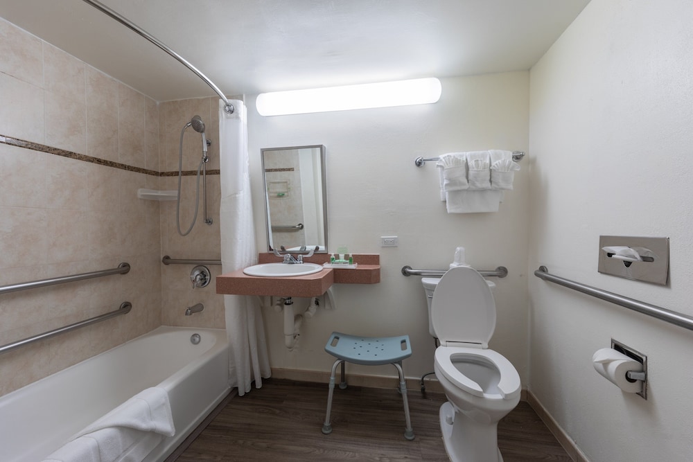 Holiday Inn Port of Miami Downtown Hotel - photo 33